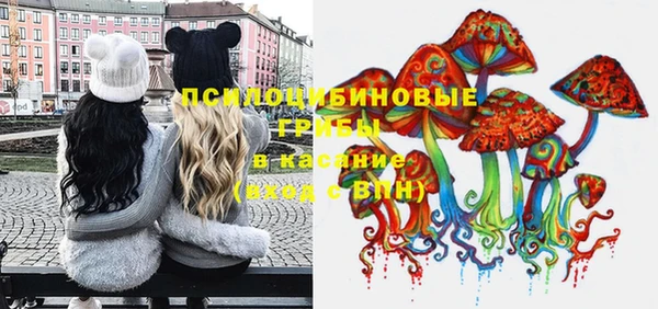 стаф Балахна
