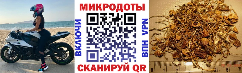 это как зайти  сколько стоит  Зея  Галлюциногенные грибы мицелий 